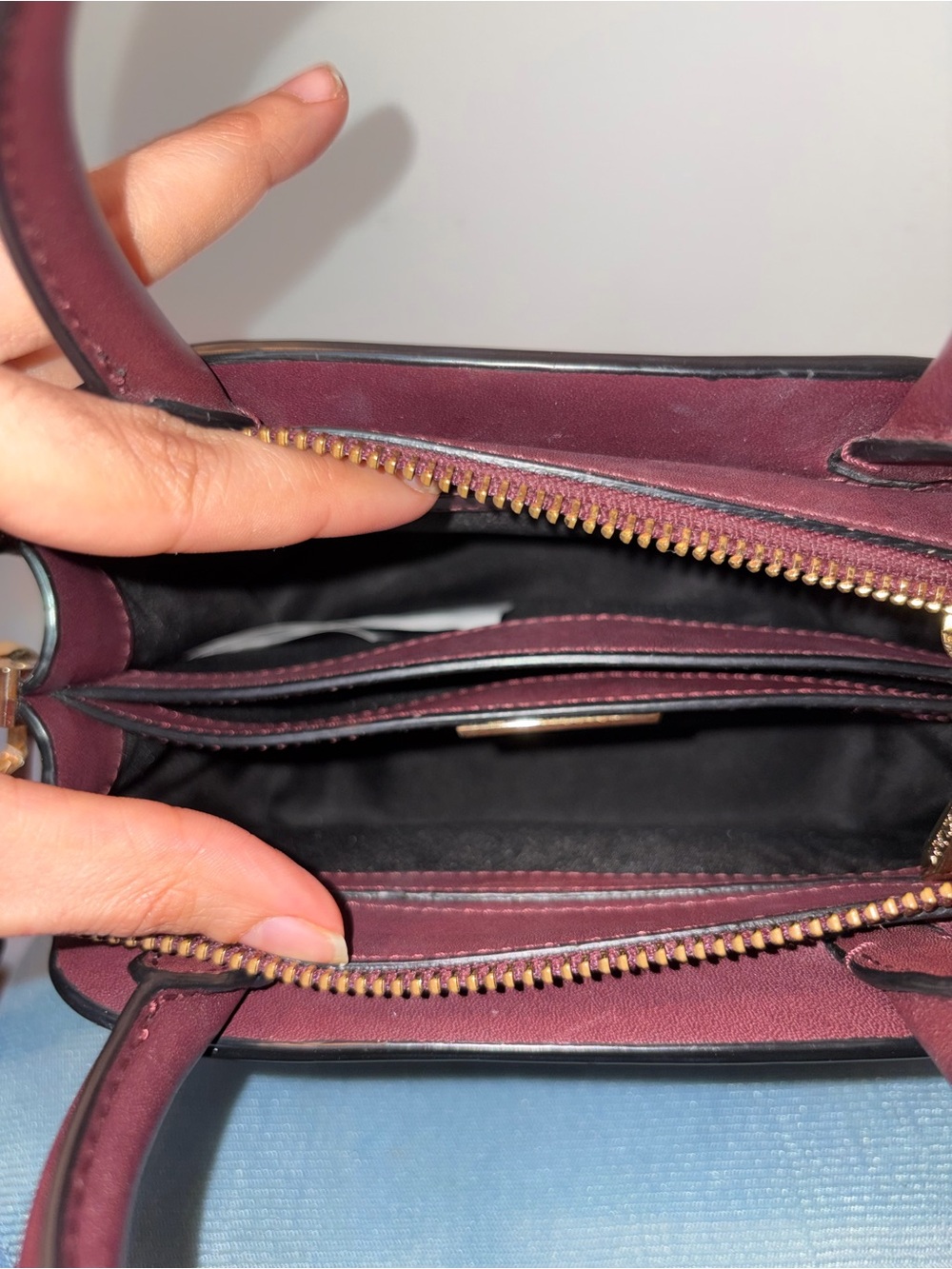Aritzia Auxiliary Mini Bega Satchel - Picture 12 of 13